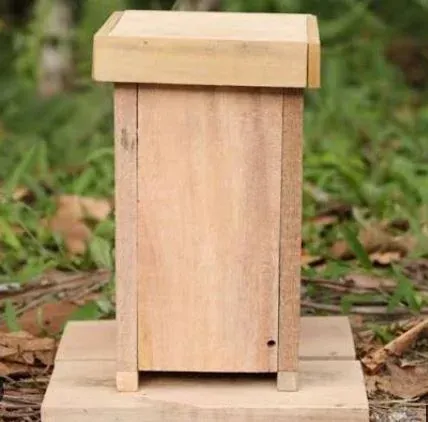 Fotografía real de la caja AF (modelo Augusto Ferreira) en madera clara: caja alta y estrecha con tapa gruesa de borde saliente, dos listones verticales en las esquinas que hacen de pies, un agujero de entrada redondo y pequeño en la parte baja del frente, montada sobre una base de tablas.